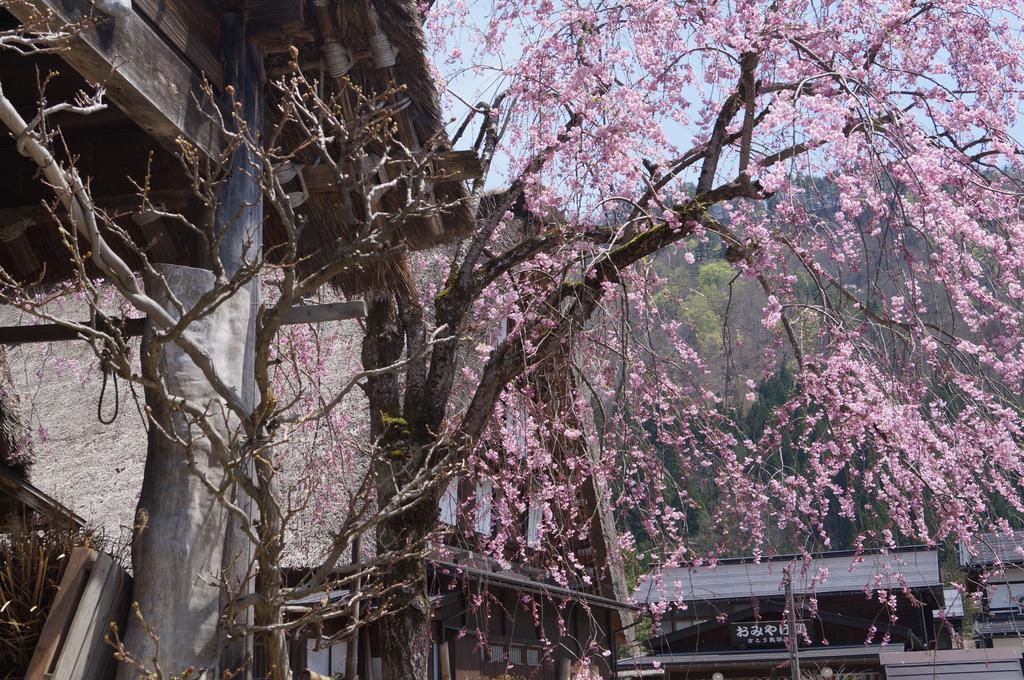 Kazeya Hotel Takayama  Ngoại thất bức ảnh